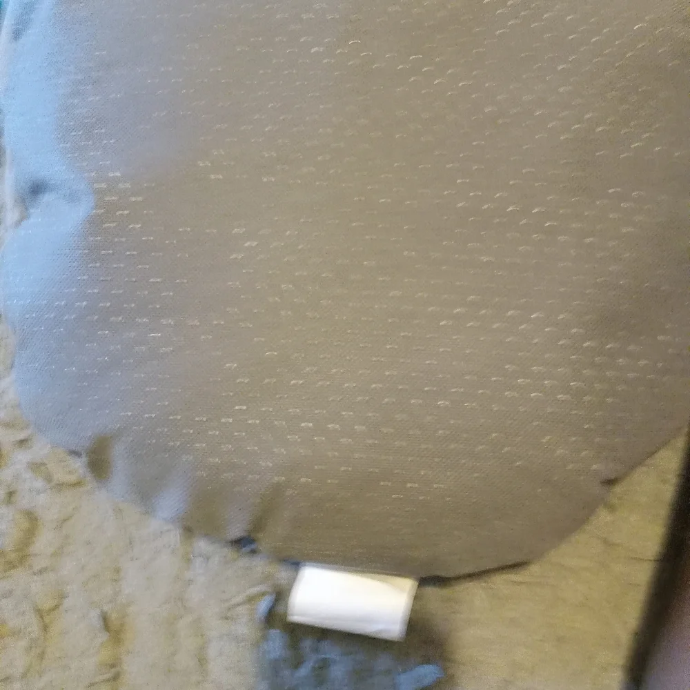 Cat bed